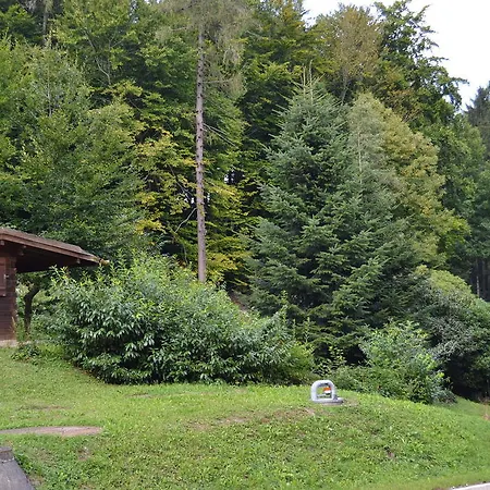 Otel Nachtigall Gernsbach